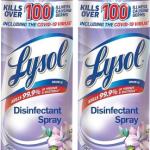 LYSOL SPRAY 19OZ MRN BRZE 2PK
