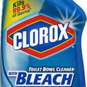 CLOROX TOILET BWL CLN RAIN 24OZ