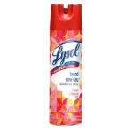 LYSOL SPRAY 19OZ MANGO HIBISCUS